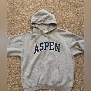 Brandy Melville John Galt Christy Aspen Hoodie, One Size